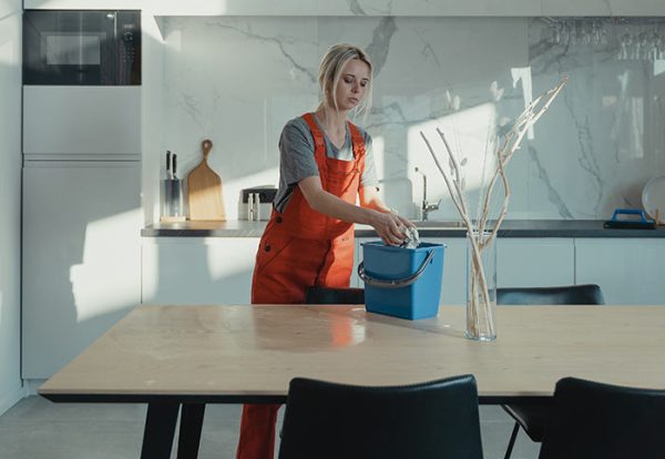 servicios_limpieza_viviendas